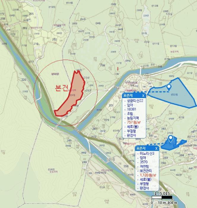충청북도 단양군 대강면 성금리 산1 임야 경매 사진 14