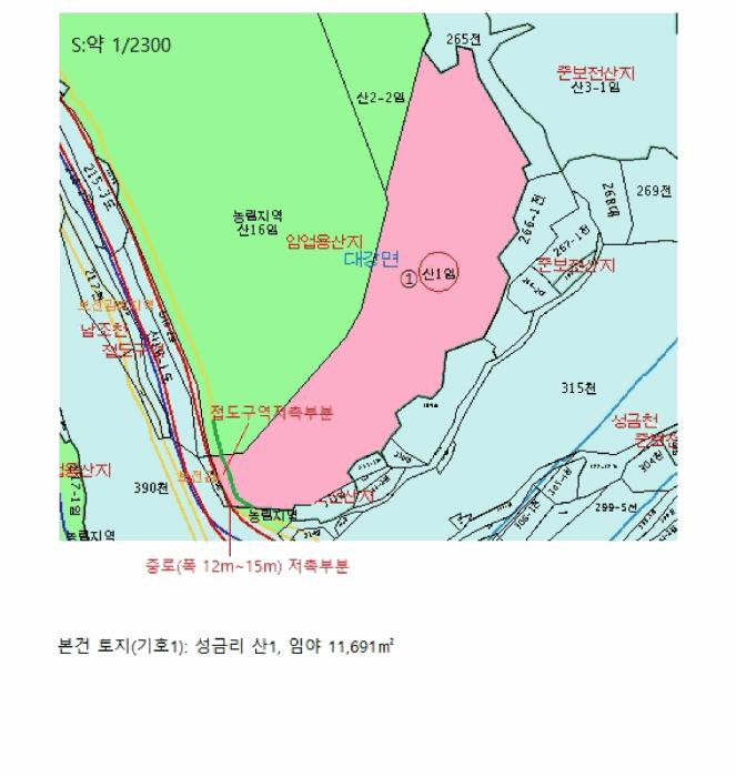 충청북도 단양군 대강면 성금리 산1 임야 경매 사진 16