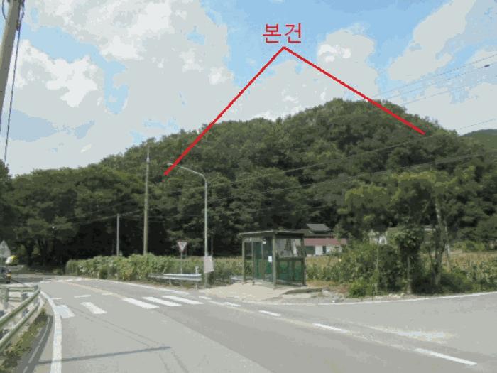 충청북도 단양군 대강면 성금리 산1 임야 경매 사진 2