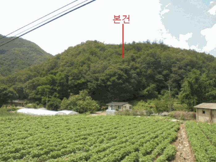 충청북도 단양군 대강면 성금리 산1 임야 경매 사진 3