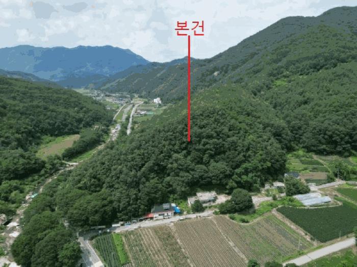 충청북도 단양군 대강면 성금리 산1 임야 경매 사진 4
