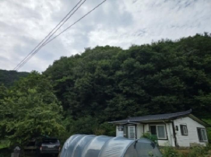 충청북도 단양군 대강면 성금리 산1 임야 경매 사진 7