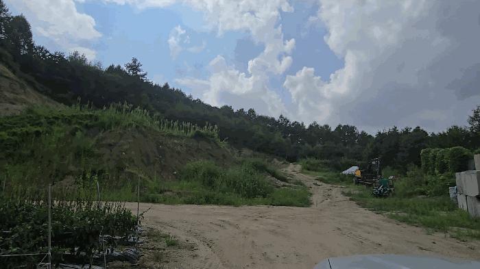 충청북도 제천시 임야