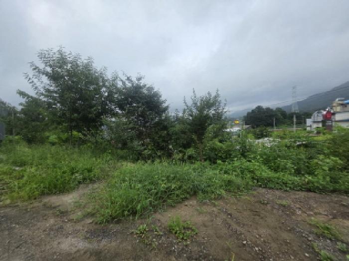 충청북도 제천시 백운면 방학리 172-65 임야 경매 사진 5