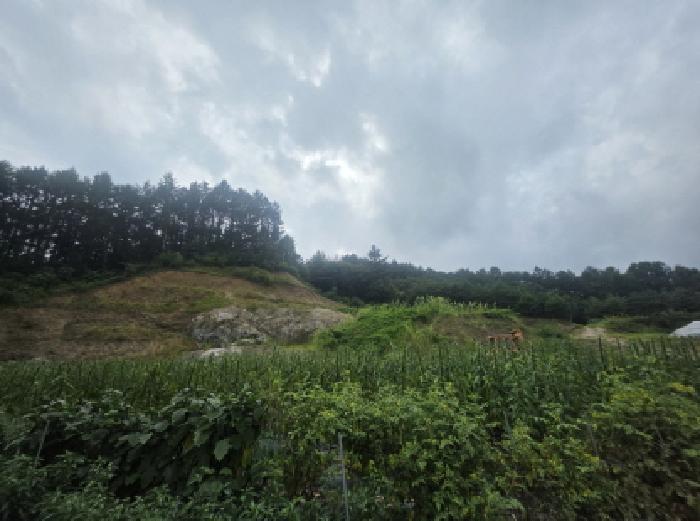 충청북도 제천시 백운면 방학리 172-65 임야 경매 사진 7