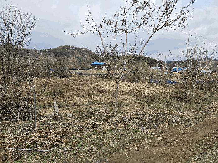 강원특별자치도 원주시 호저면 고산리 599 전 경매 사진 3