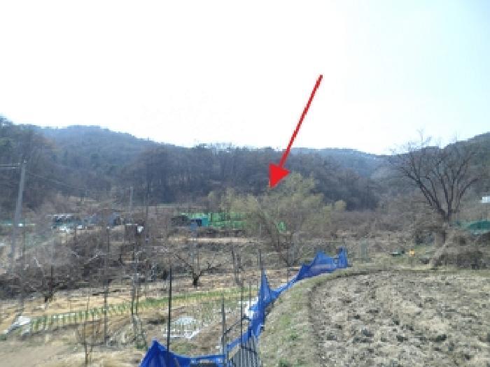 강원특별자치도 원주시 호저면 고산리 599 전 경매 사진 6