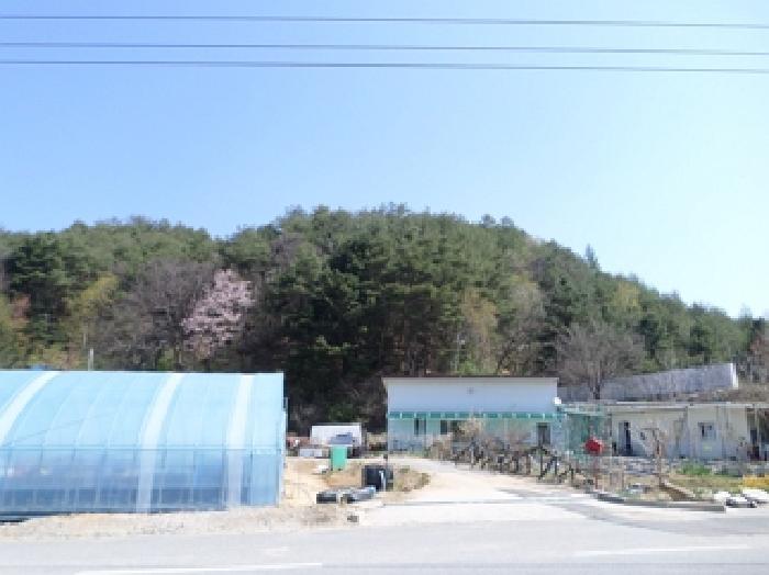 강원특별자치도 횡성군 둔내면 우용리 421-1 잡종지 경매 사진 17