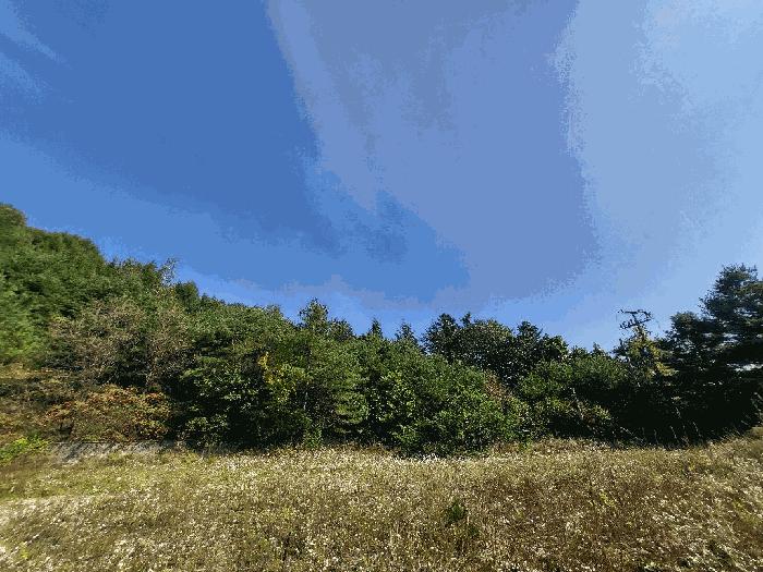 강원특별자치도 횡성군 둔내면 우용리 421-1 잡종지 경매 사진 6