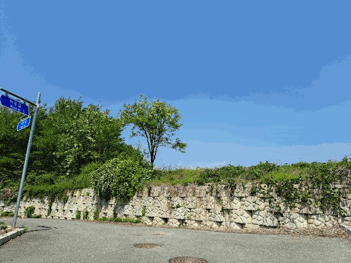 충청북도 음성군 맹동면 마산리 232-1 임야 경매 사진 11