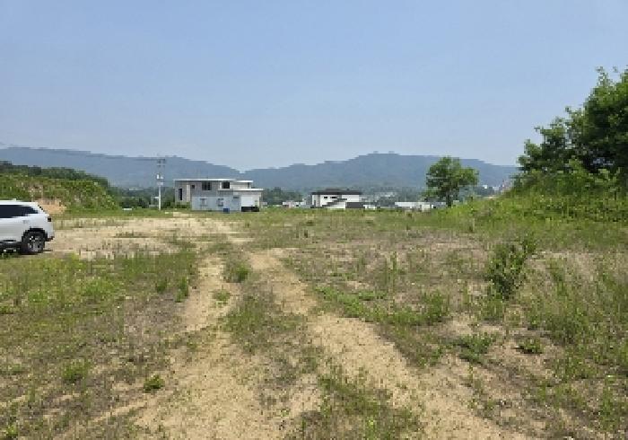 충청북도 음성군 맹동면 마산리 232-1 임야 경매 사진 15