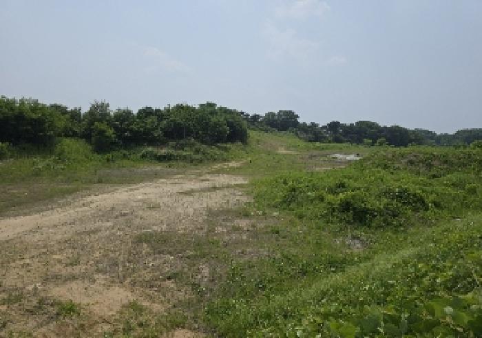 충청북도 음성군 맹동면 마산리 232-1 임야 경매 사진 16