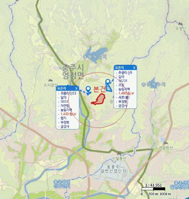 충청북도 충주시 엄정면 괴동리 산20-2 임야 경매 사진 12