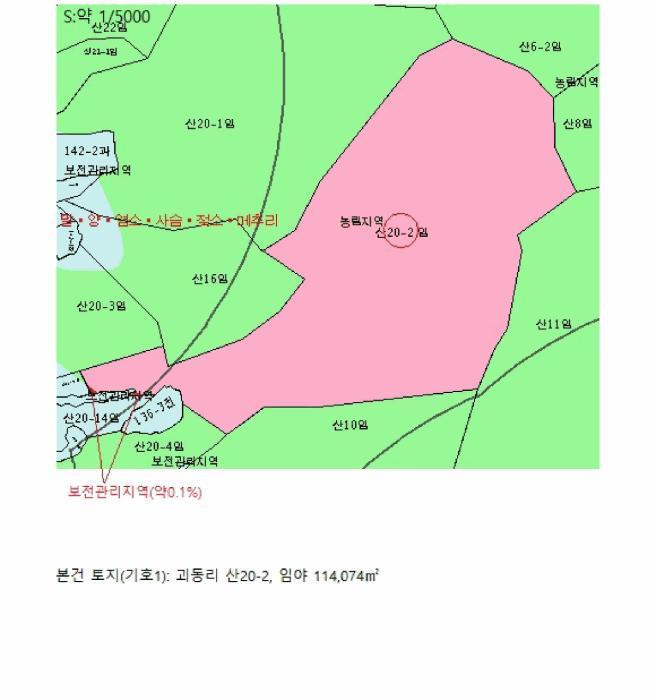 충청북도 충주시 엄정면 괴동리 산20-2 임야 경매 사진 13