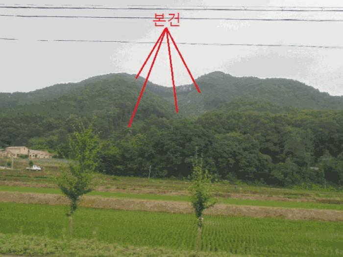 충청북도 충주시 엄정면 괴동리 산20-2 임야 경매 사진 5