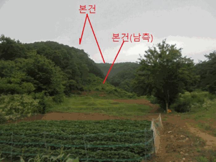 충청북도 충주시 엄정면 괴동리 산20-2 임야 경매 사진 6