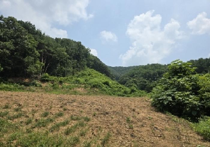 충청북도 충주시 엄정면 괴동리 산20-2 임야 경매 사진 7