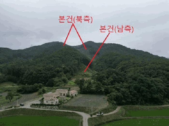 충청북도 충주시 엄정면 괴동리 산20-2 임야 경매 사진 9