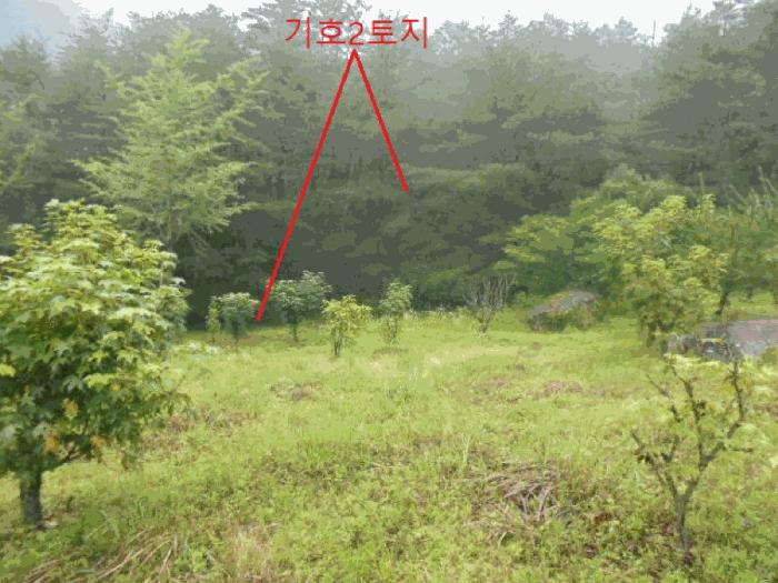 충청북도 충주시 대소원면 영평리 산3 임야 경매 사진 10