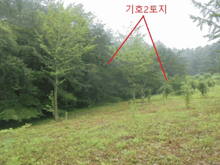 충청북도 충주시 대소원면 영평리 산3 임야 경매 사진 2