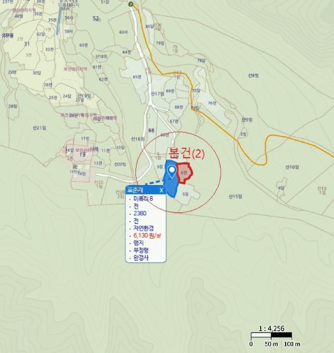 충청북도 충주시 대소원면 영평리 산3 임야 경매 사진 21