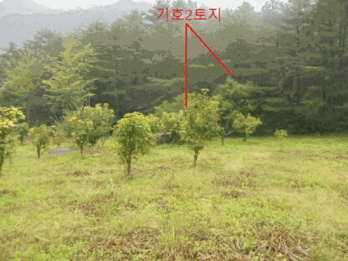 충청북도 충주시 대소원면 영평리 산3 임야 경매 사진 7