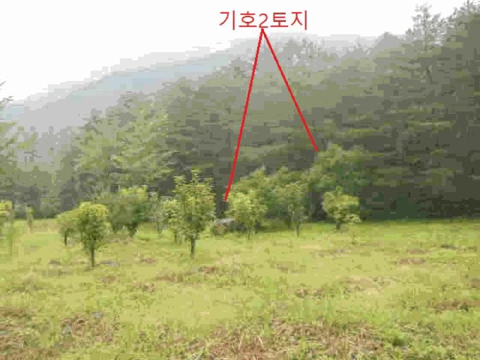 충청북도 충주시 전