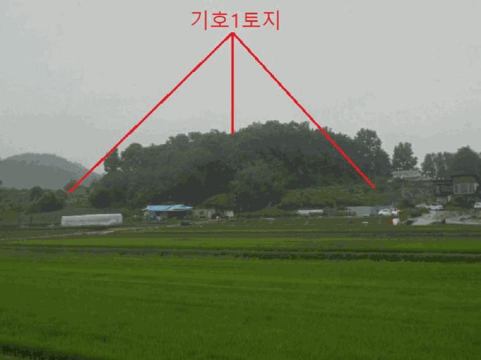 충청북도 충주시 수안보면 미륵리 6 전 경매 사진 4