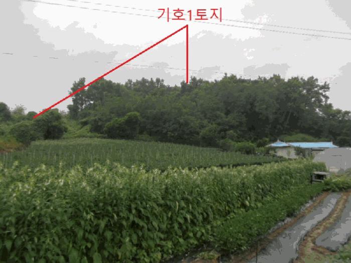 충청북도 충주시 수안보면 미륵리 6 전 경매 사진 5