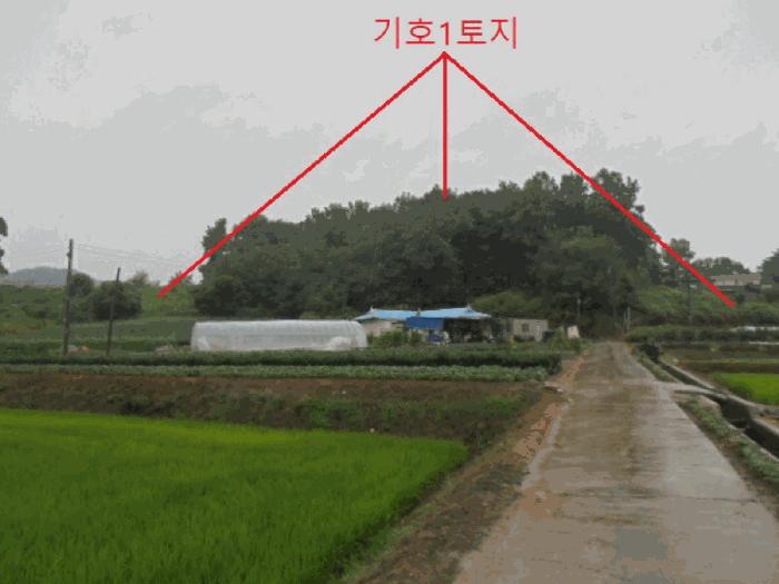 충청북도 충주시 수안보면 미륵리 6 전 경매 사진 8