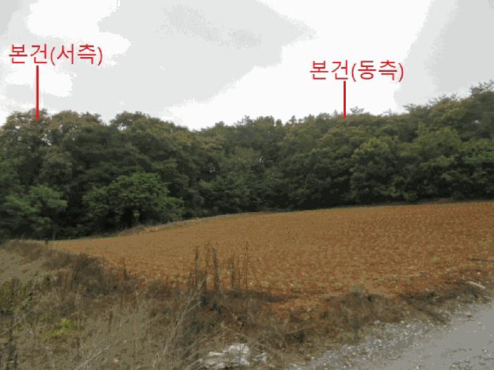 충청북도 단양군 단양읍 도담리 산5-17 임야 경매 사진 1