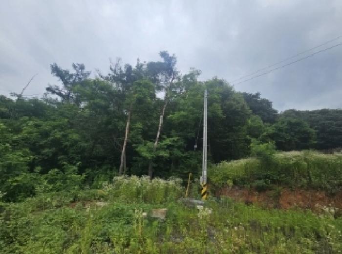 충청북도 단양군 단양읍 도담리 산5-17 임야 경매 사진 12