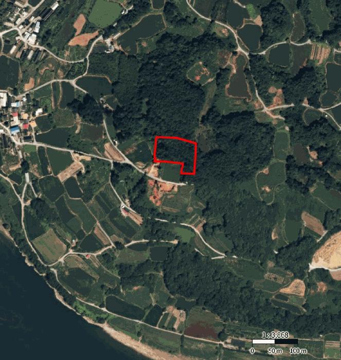 충청북도 단양군 단양읍 도담리 산5-17 임야 경매 사진 18