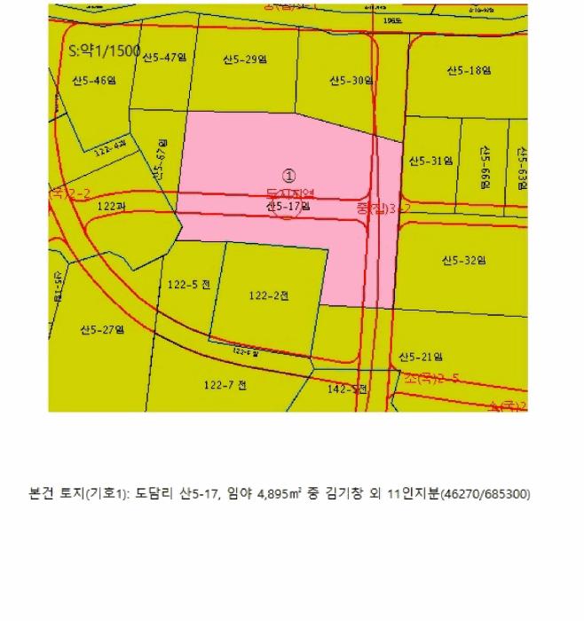 충청북도 단양군 단양읍 도담리 산5-17 임야 경매 사진 19