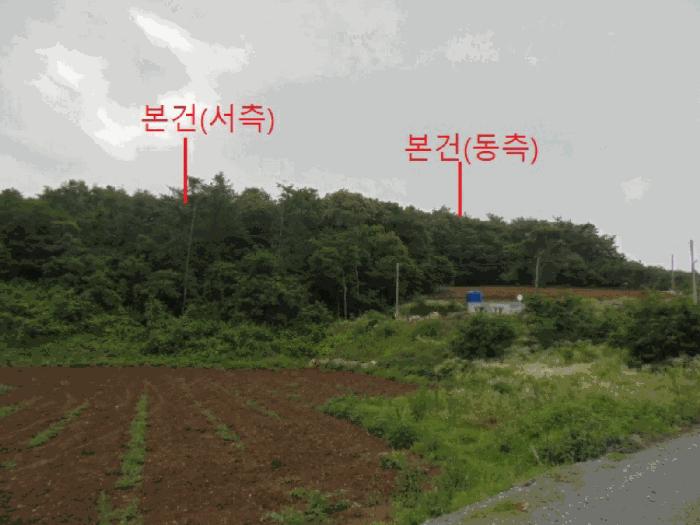 충청북도 단양군 단양읍 도담리 산5-17 임야 경매 사진 2