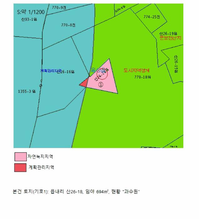 충청북도 음성군 음성읍 읍내리 산26-18 임야 경매 사진 10