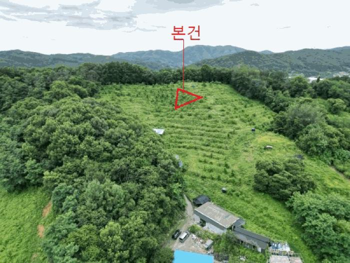 충청북도 음성군 음성읍 읍내리 산26-18 임야 경매 사진 3