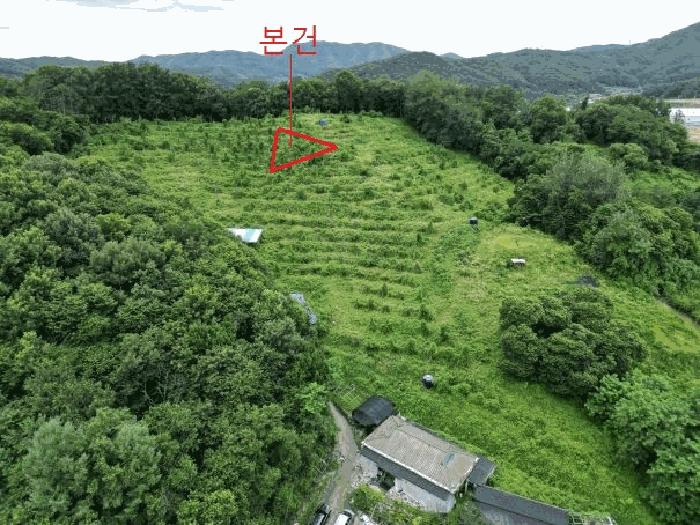 충청북도 음성군 음성읍 읍내리 산26-18 임야 경매 사진 6