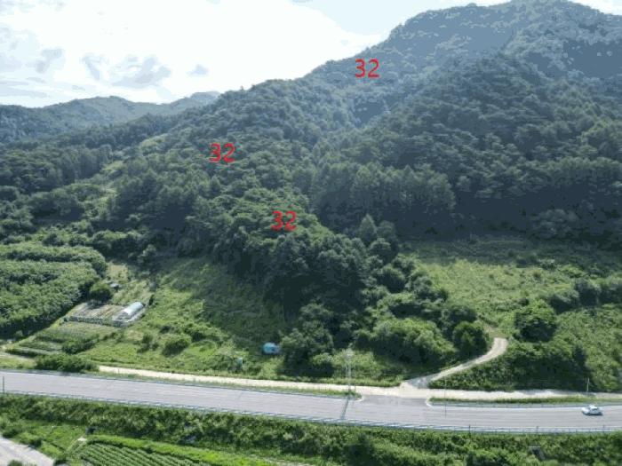 충청북도 제천시 백운면 덕동리 산13-4 임야 경매 사진 2