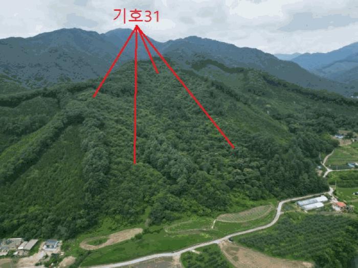 충청북도 제천시 백운면 덕동리 산13-4 임야 경매 사진 33