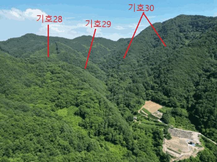 충청북도 제천시 백운면 덕동리 산13-4 임야 경매 사진 44