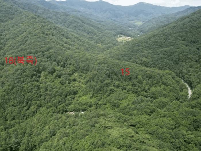 충청북도 제천시 백운면 덕동리 산13-4 임야 경매 사진 45