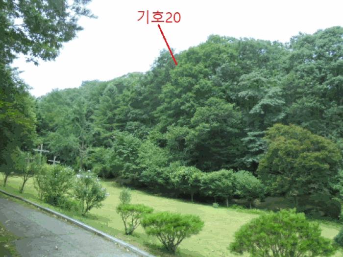 충청북도 제천시 백운면 덕동리 산13-4 임야 경매 사진 48