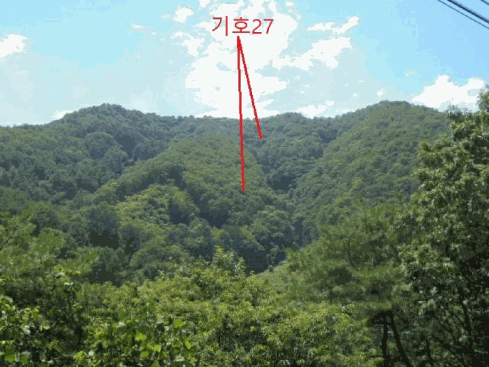 충청북도 제천시 백운면 덕동리 산13-4 임야 경매 사진 52