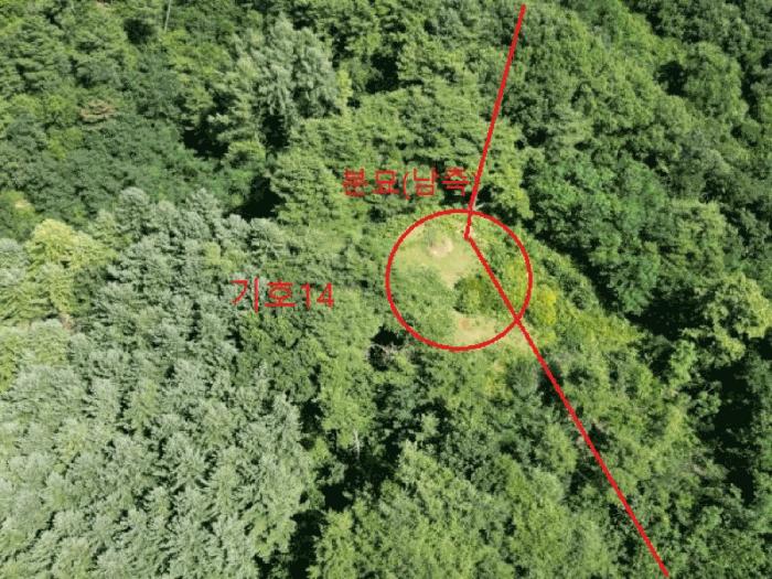 충청북도 제천시 백운면 덕동리 산13-4 임야 경매 사진 6