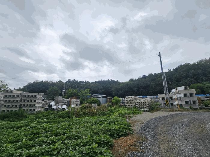 충청북도 제천시 신월동 738-1 과수원 경매 사진 8