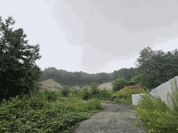 충청북도 제천시 신월동 739-3 전 경매 사진 11