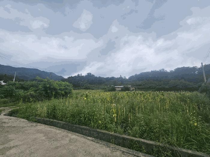 충청북도 제천시 신월동 739-3 전 경매 사진 42