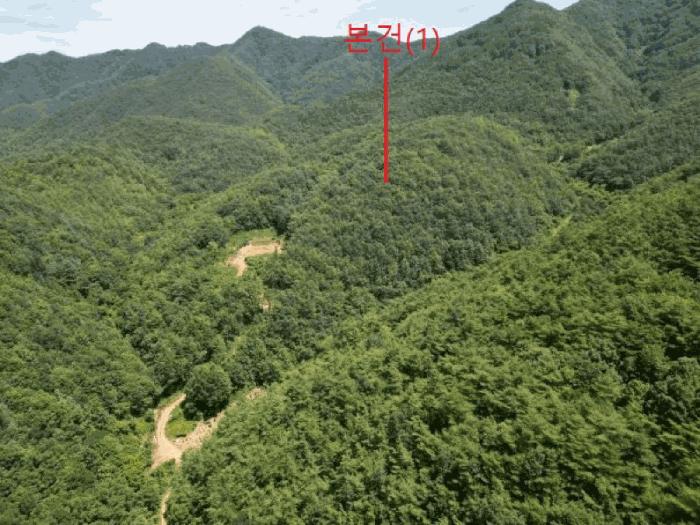 충청북도 단양군 어상천면 심곡리 산12 임야 경매 사진 2