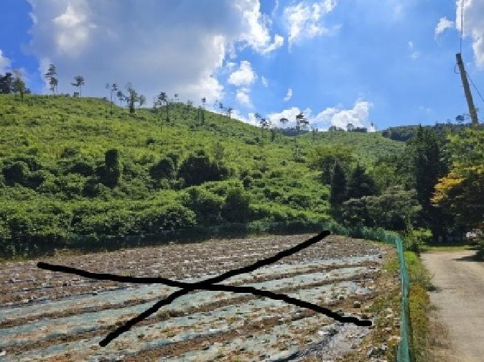 충청북도 단양군 어상천면 심곡리 산12 임야 경매 사진 23